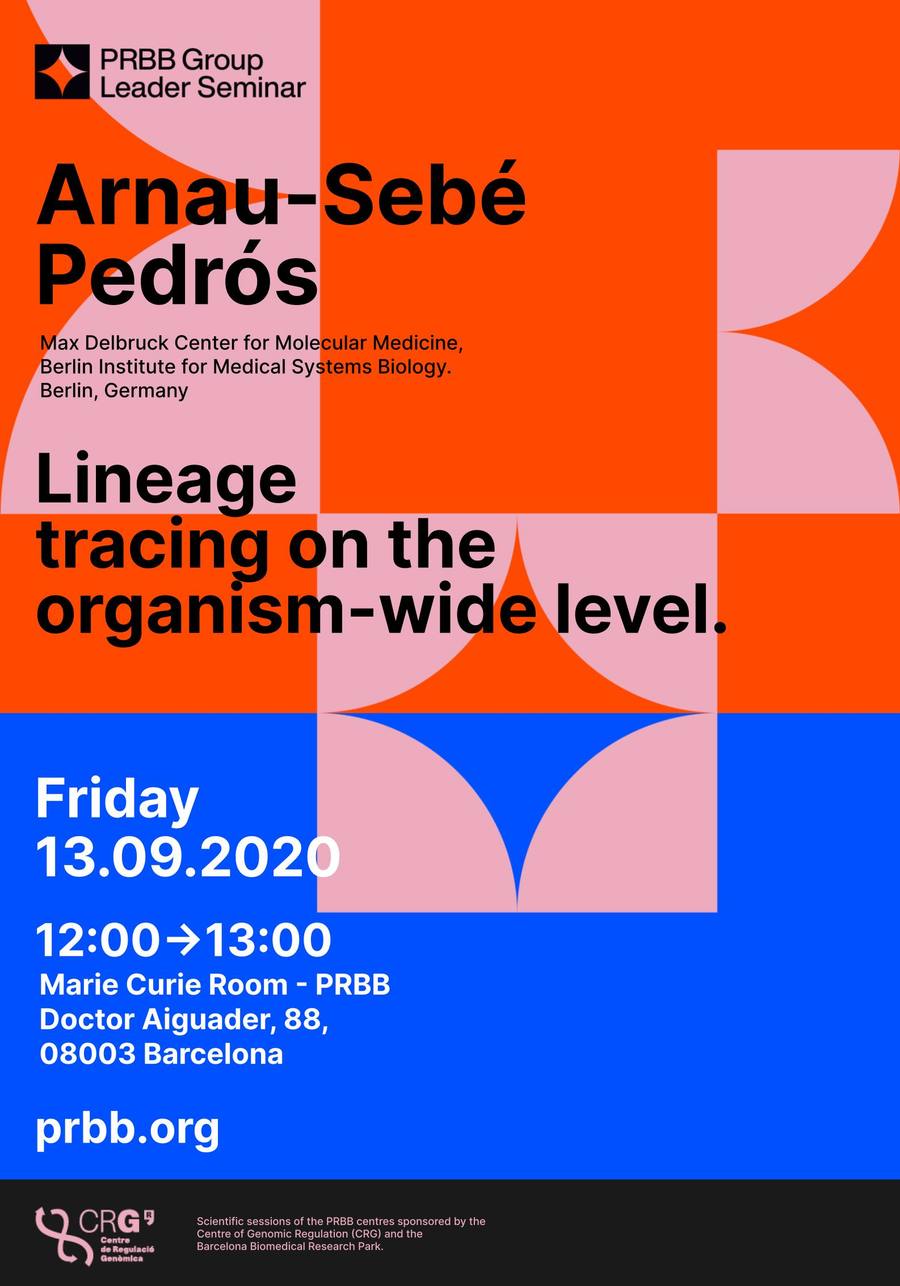 PRBB — image 10 by Victor Lavega